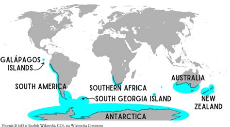 Penguin Map