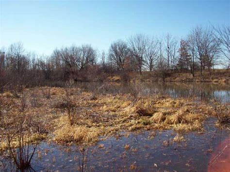 Missouri Wetlands Mid America Hunting Association