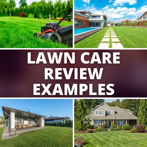 30 Lawn Care Review Examples Eat Sleep Wander