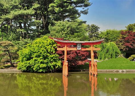 Japanese Garden Pagoda Photograph by Tony Ambrosio - Pixels