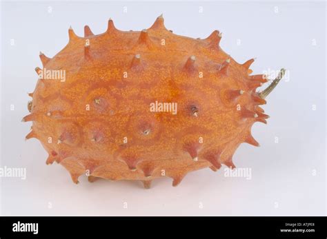 African Horned Cucumber Kiwano Stock Photo Alamy