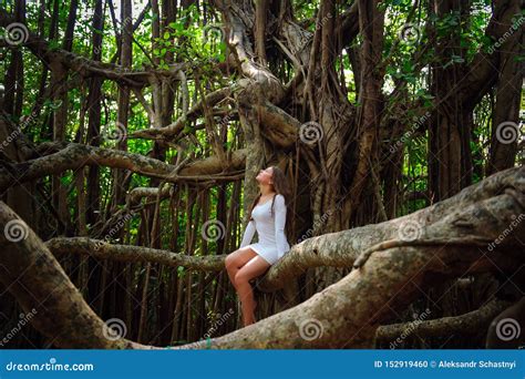 Brunette Met Het Lange Haar Stellen In Een Boom Met Krullende Hangende Takken Jong Aantrekkelijk