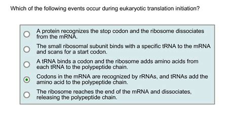 Solved Which Of The Following Events Occur During Eukaryotic