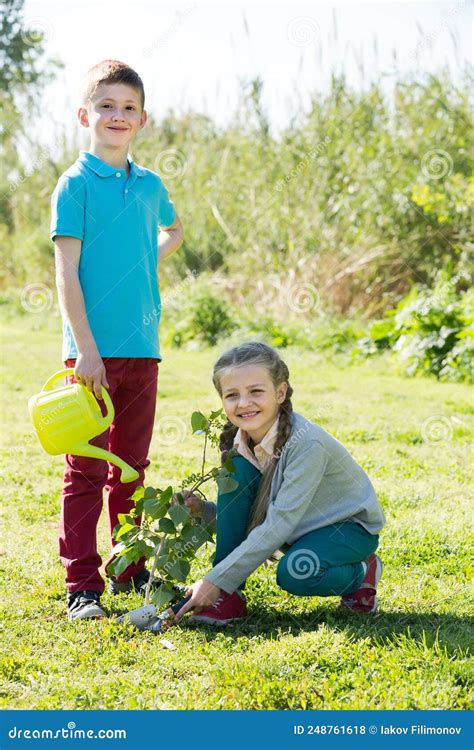 Two Children Planting A New Tree Stock Photo Image Of Brother Girl