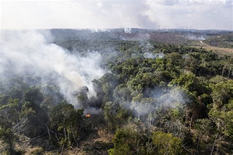 Inpe Registra Aumento De Queimadas Na Amaz Nia E No Cerrado Em