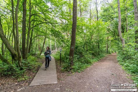 Jak zwiedzać Poleski Park Narodowy