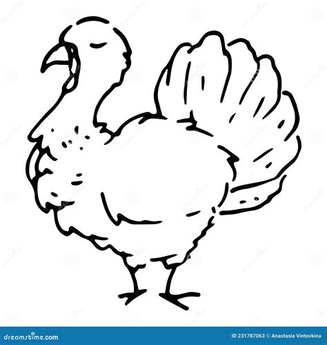 A Hand Drawn Gobbler Cartoon Style Painted Bird Isolated Black Turkey