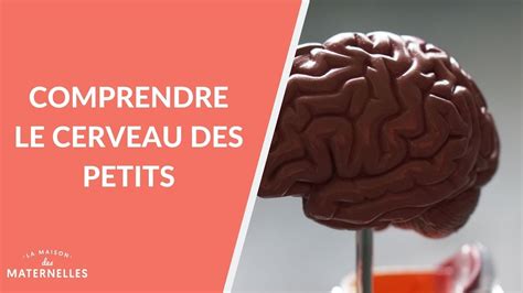 Comprendre Le Cerveau Des Petits La Maison Des Maternelles LMDM