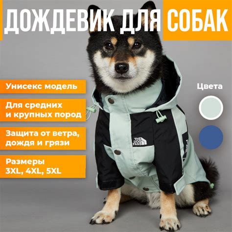 Дождевик-плащ для собак средних и крупных пород 3XL, бирюзовый - купить ...