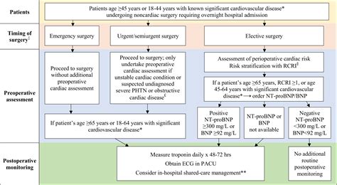 Jcm Free Full Text Biomarker Based Preoperative Risk Stratification