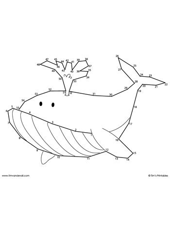 Whale Dot-to-Dot - Medium - Tim's Printables
