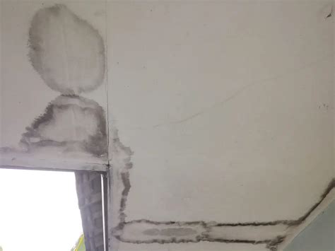 Remove Mold Drywall Ceiling Shelly Lighting