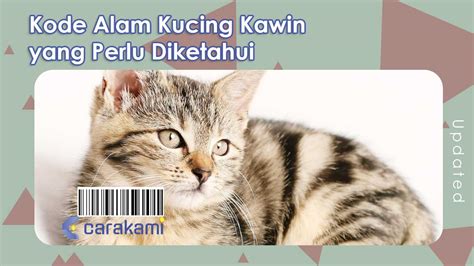 Kode Alam Kucing Kawin Lengkap Yang Perlu Diketahui