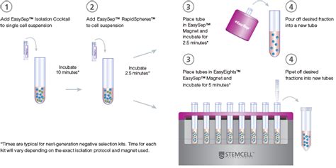 Easysep™ 15 Minute Mouse Cell Isolation Kits