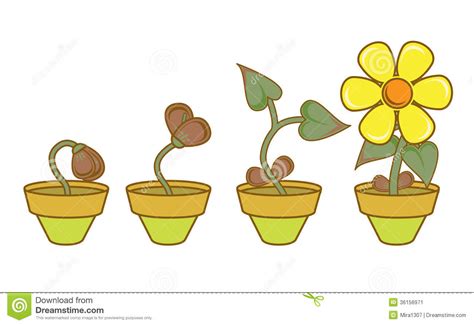 Stages Clipart Clipground