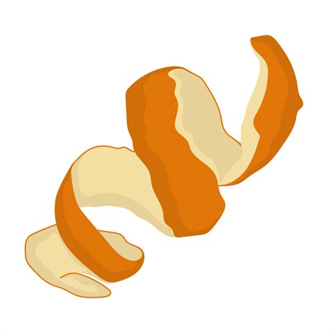 Hand Drawn Orange Peel Isolated On White Background 16122882 Vector Art