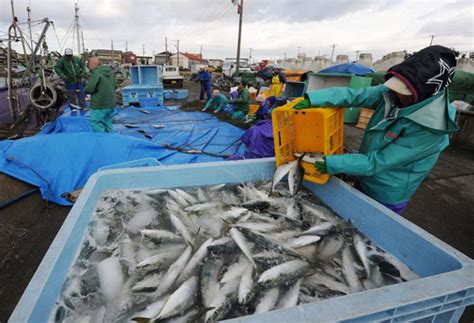 Fears For Food Supply As Radioactive Water Pours From Stricken Reactor