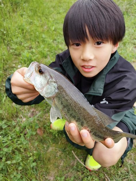 アングラー02983258 さんの 2024年04月17日のブラックバスの釣り・釣果情報佐賀県 佐賀県武雄市近辺 アングラーズ