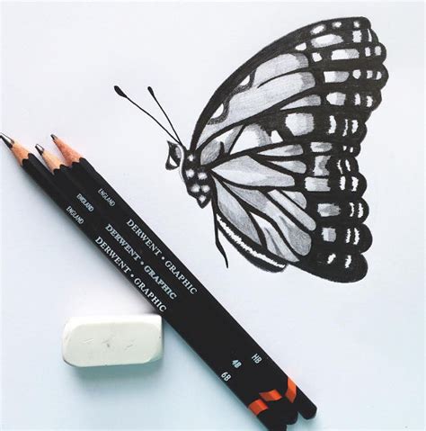 Butterfly Pencil Drawing at GetDrawings | Free download