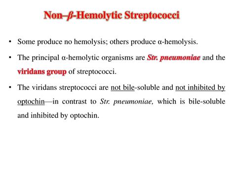 PPT Gram Positive Cocci Streptococci PowerPoint Presentation Free