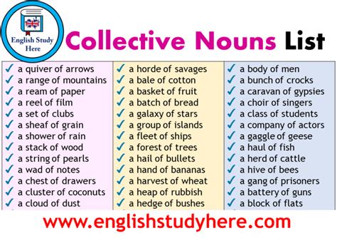 Collective Nouns List - English Study Here