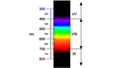 Visible Light Spectrum Diagram