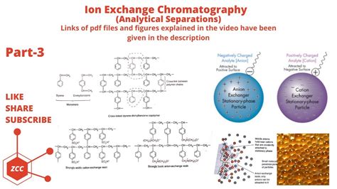 Chromatography Part Ion Exchange Chromatography Cation And Anion