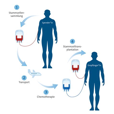 Cio Bonn Zentrum F R Stammzelltransplantation Und Zelltherapien