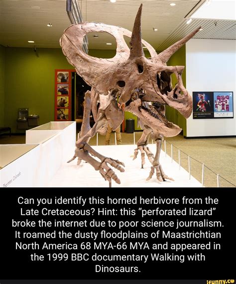 Can You Identify This Horned Herbivore From The Late Cretaceous Hint