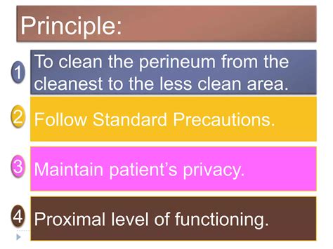 Perineal Care Ppt