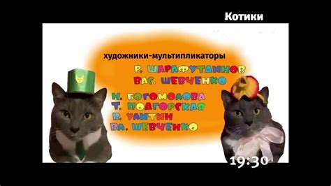 вырезанный фрагмент котинет (котики-мур котики 12.02.2017) - YouTube