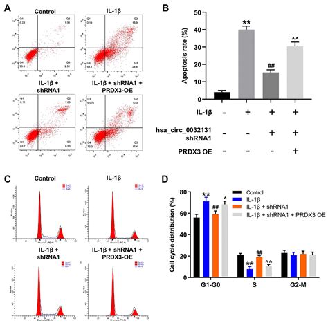 Hsa Circ Knockdown Inhibits Osteoarthritis Progression Via The