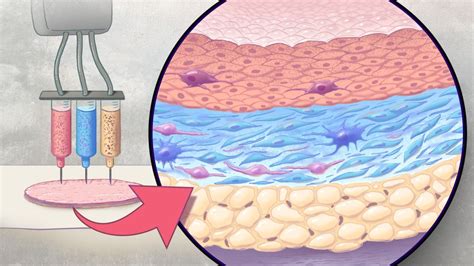 epidermis – NIH Director's Blog