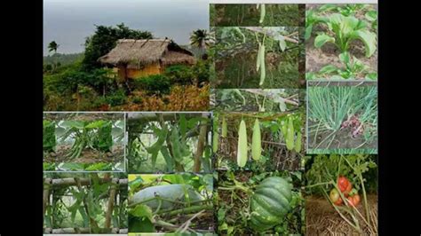 Bahay Kubo Vegetable Garden Fasci Garden