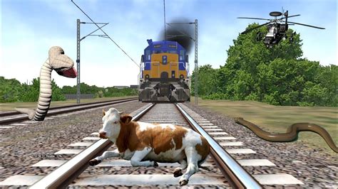 Two Giant Anaconda Trying To Eat The Cow Vs Train Stops The Train