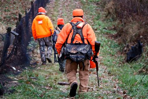 List State Parks Temporarily Closing For Deer Management Hunts