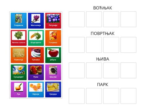 ГАЈЕНЕ БИЉКЕ - Group sort