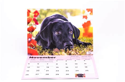 2023 Calendar - Guide Dogs SA/NT