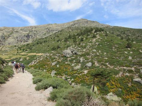 El Patronato Del Parque Nacional De La Sierra De Guadarrama Aprueba El