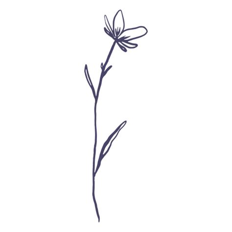 Tiny Flower Hand Drawn Png Svg Design For T Shirts