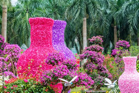 Vase Shape Of Purple Bougainvillea Spectabilis Flower Show In Shenzhen