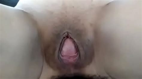 Fucking The Pussy XNXX