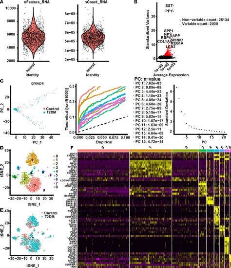 Cell Processing Of Scrna Seq Dataset Gse81608 A Number Of Genes Per