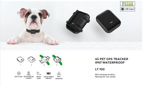 Pet Gps Tracker