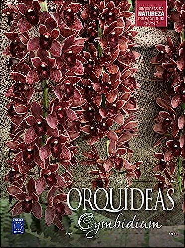 Découvrir 100 kuva orquídea cymbidium preço Thptnganamst edu vn