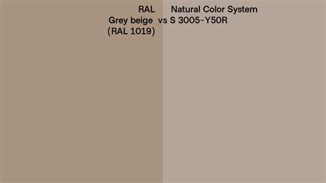 RAL Grey Beige RAL 1019 Vs Natural Color System S 3005 Y50R Side By