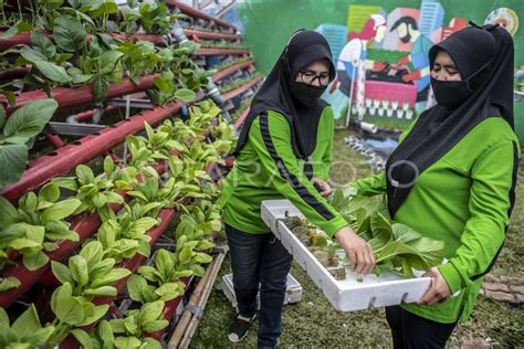 KEMENTAN DORONG PROGRAM GERAKAN P2L ANTARA Foto