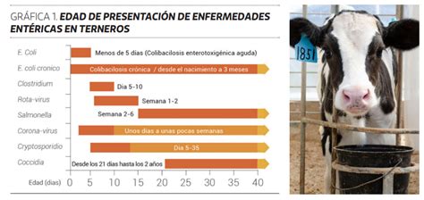 Prevenir Para Ganar Infortambo Andina