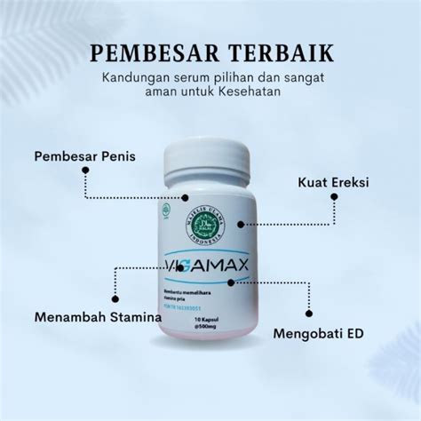 Jual Vigamax Asli Original Capsule Obat Herbal Suplemen Pria Bpom