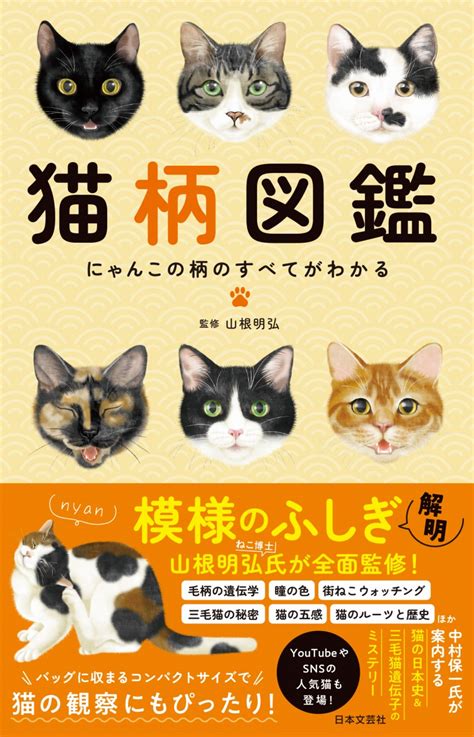 猫の遺伝の法則がわかる。黒三毛、キジ三毛「模様のふしぎ」を解明した『猫柄図鑑』｜ニフティニュース